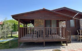 Defne Olive Gardens, Koca Calis, - Previously Defne Pansiyon