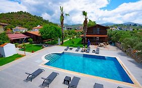 Defne Olive Gardens, Koca Calis, - Previously Defne Pansiyon