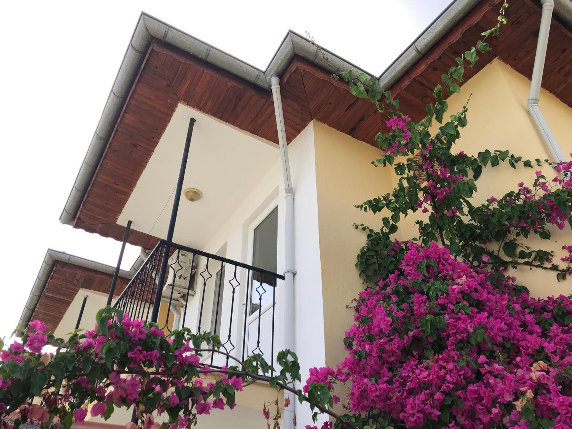 Defne Olive Gardens, Koca Calis, Fethiye - Previously Defne Pansiyon Dış mekan fotoğraf