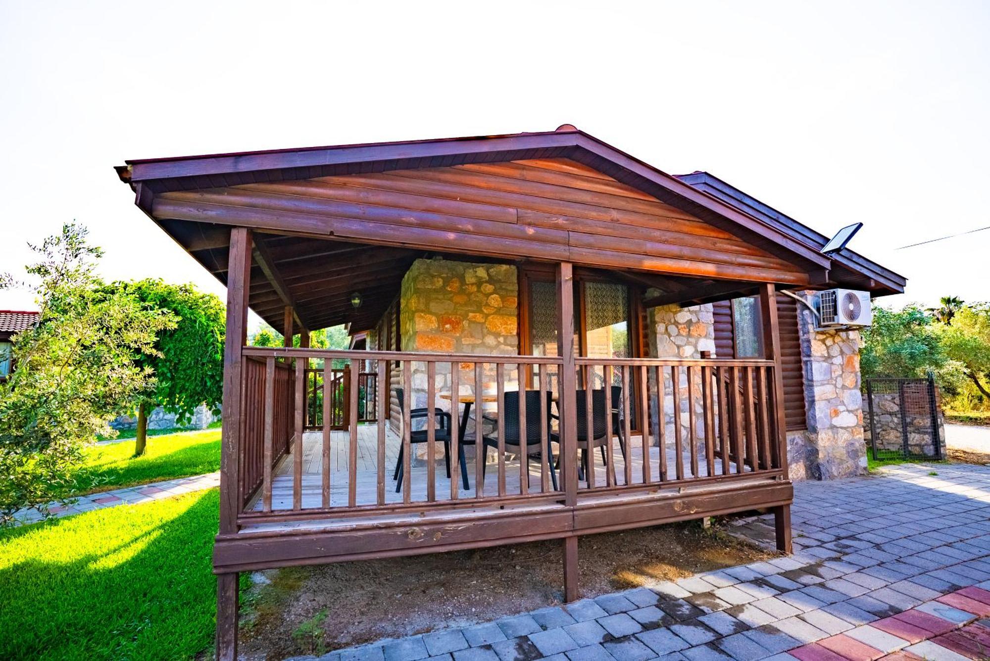 Defne Olive Gardens, Koca Calis, Fethiye - Previously Defne Pansiyon Oda fotoğraf