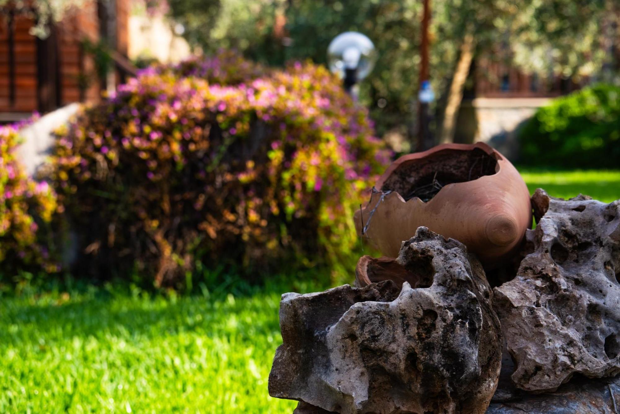 Defne Olive Gardens, Koca Calis, Fethiye - Previously Defne Pansiyon Dış mekan fotoğraf